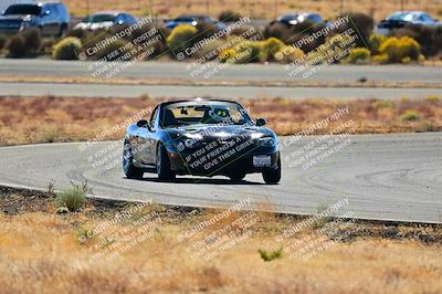 media/Nov-16-2024-Extreme Speed (Sat) [[6587d07cc4]]/Gold Group/Session 2 (Turns 3 and 5)/
